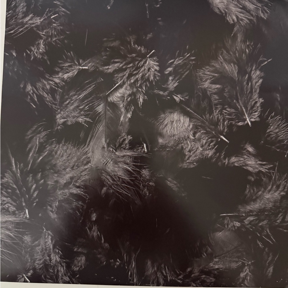 Conan Gray Kid Krow Vinyl - Picture 5 of 5